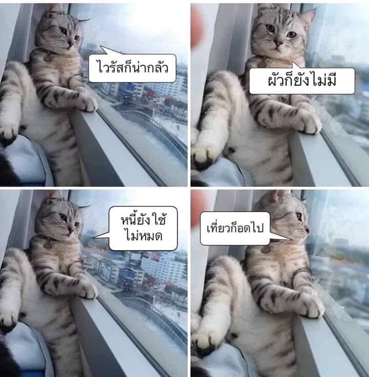may good (@maygood67499967) / Posts / X
