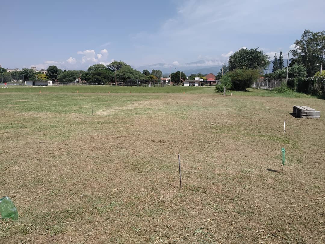 ClubFoxSalta's tweet photo. Va tomando forma el proyecto impulsado por Luis colo Barrios, los espacios para el softbol y los mas chicos del club! Se ubicaran en el center field y left fiel.
Tambien el acondicionamiento del diamante principal para el inicio de la nueva temporada de @SaltaBeisbolOf 🥎🦊⚾💪🏽 https://t.co/tdlwveRLkO