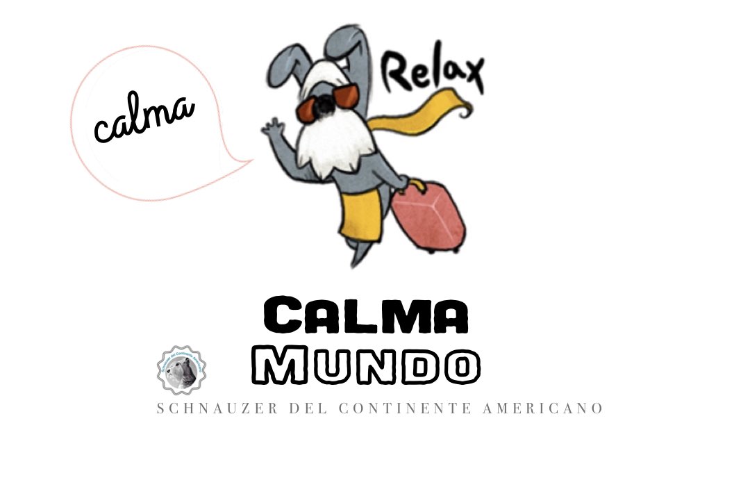 MinorTwitero's tweet photo. Actitud perruna, súper relax 😊 https://t.co/851U9bU9io