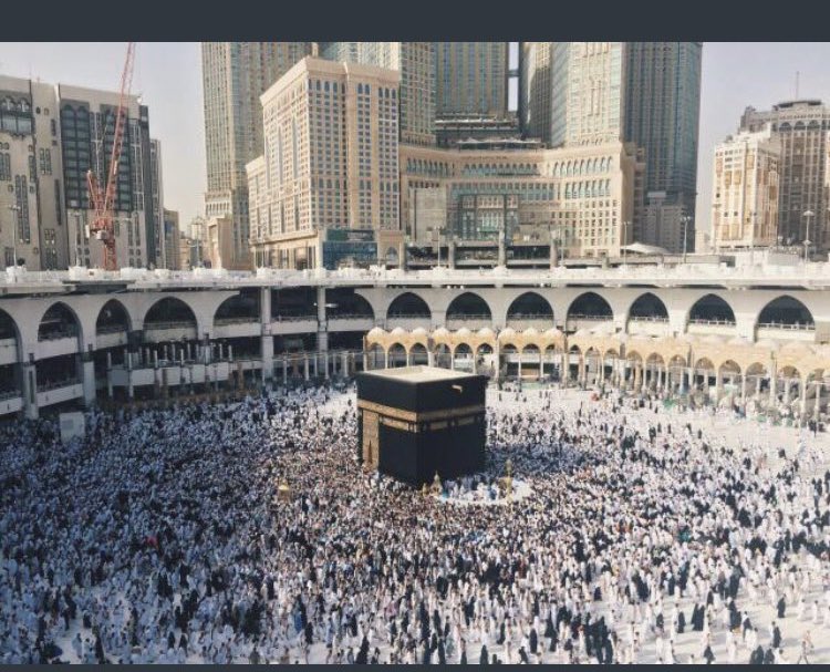 للجنة من يرافقنا ؟ 🍃 tweet media