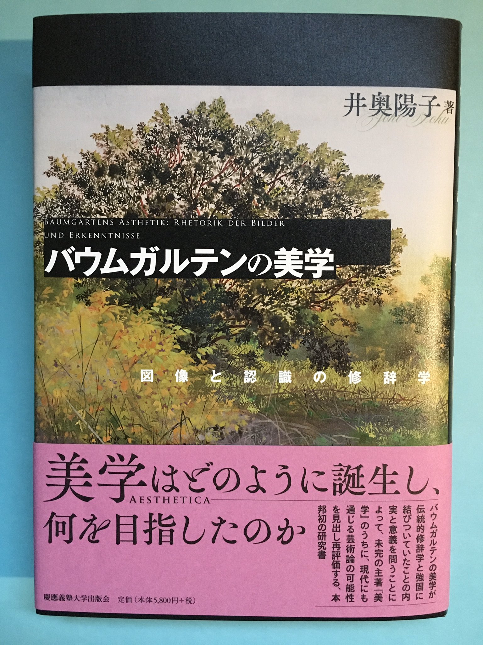 山本貴光 on X: 