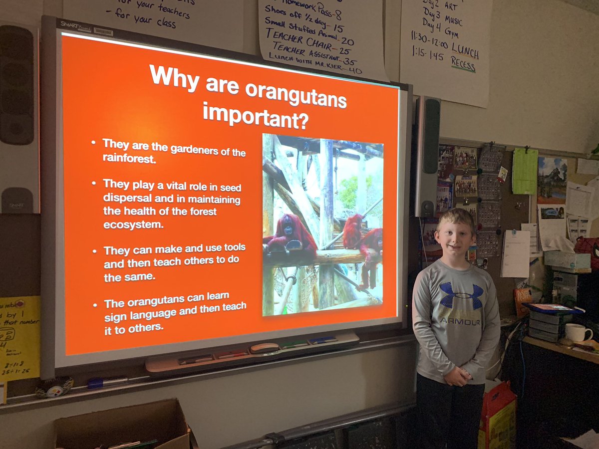 kierclass's tweet image. Cameron aka Cam B taught us all about orangutans with his keynote! 🦧 My prior knowledge was What King Louie taught me in The Jungle Book. Fantastic and professional presentation! #thirdatbis #ithinkbhawk