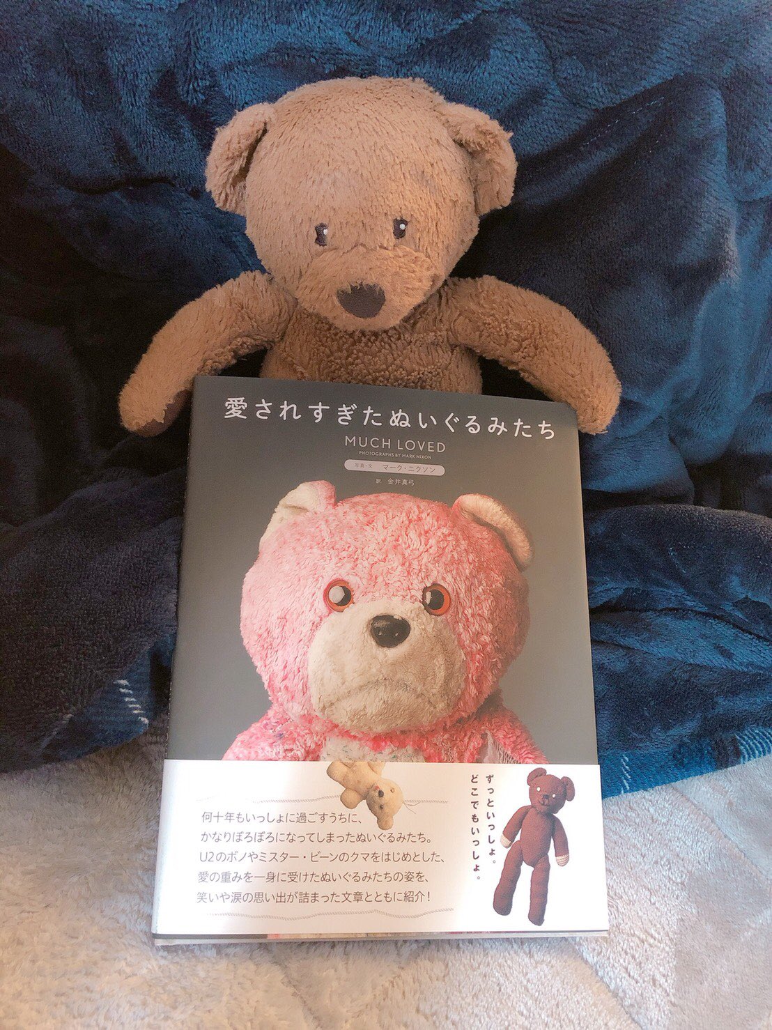 愛されすぎたぬいぐるみたち Twitter Search Twitter