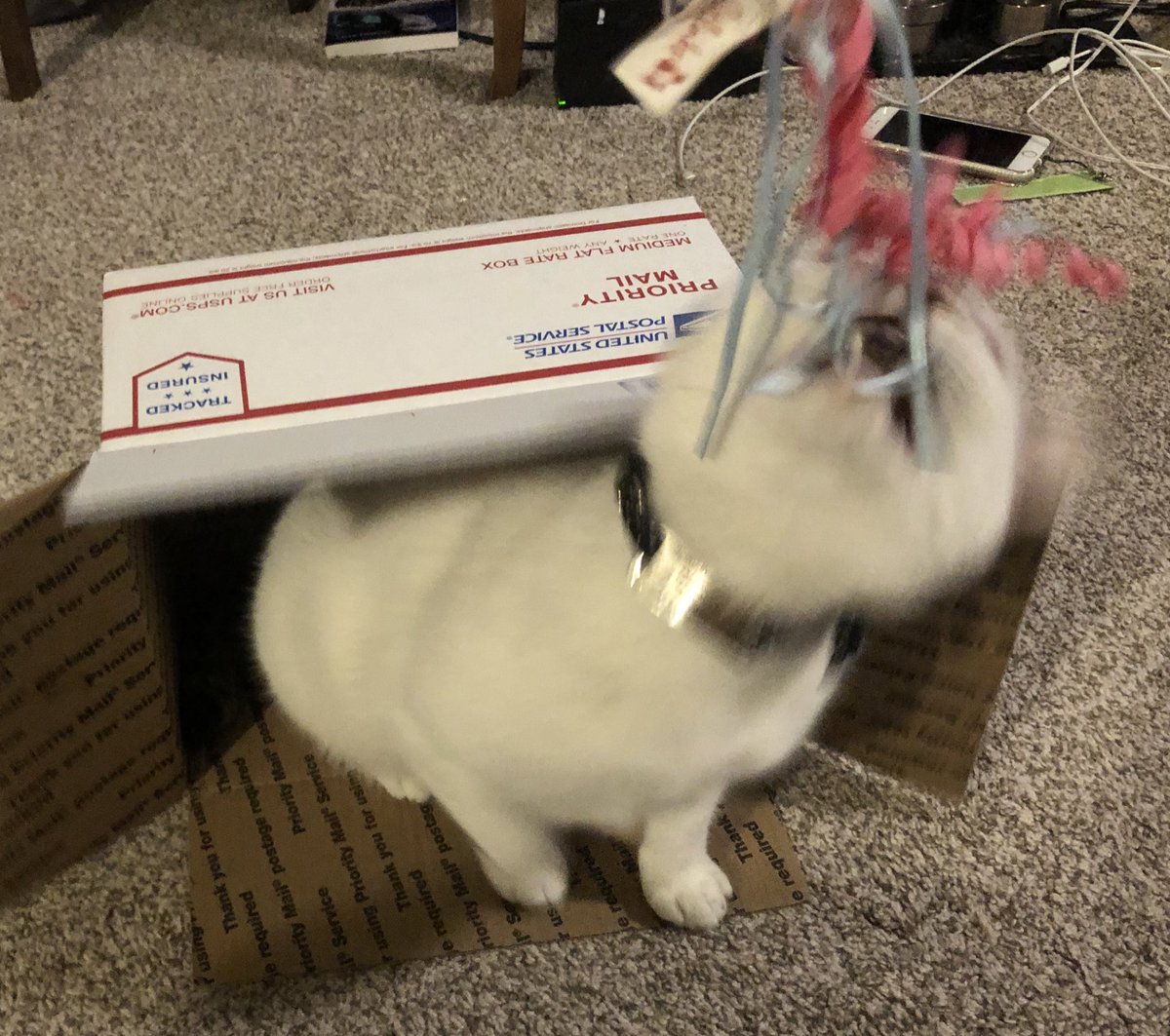 flat-rate shipping available