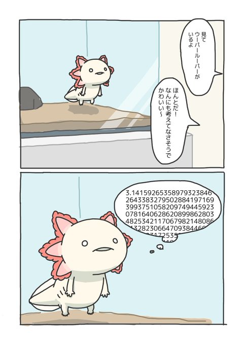 数字強いウーパールーパー
#円周率の日 