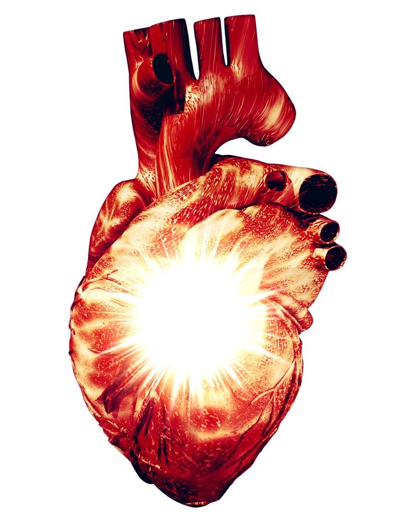 mfi_usa's tweet photo. The teachings of HDE Ra Riaz GoharShahi concern itself with initiating the hearts of aspirants with God’s name using a method called the Opening of the Heart. When the spiritual heart is opened,God’s name is implanted in the beating system of the heart.  #FolloMe #YounusAlGohar https://t.co/goljy9vt2N