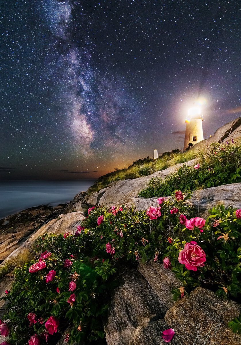 Goodnight Everyone 💞🌺