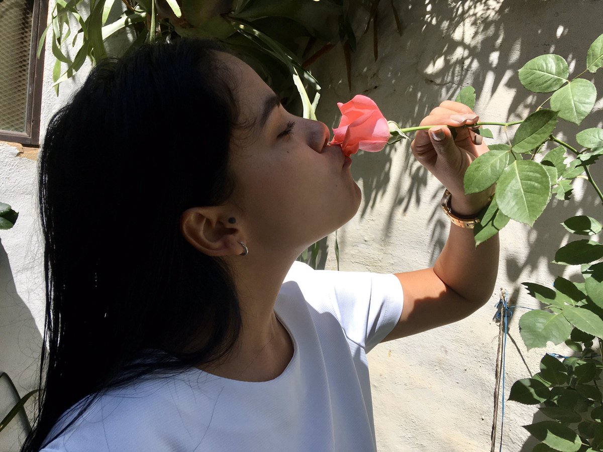 maurocamavar's tweet photo. Flores de mi jardín https://t.co/kW9qAc52ZL