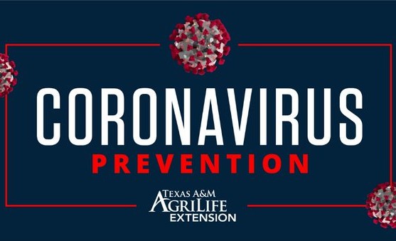 Not-so-Happy Friday(3/13/2020). Effects of the #covid_19 pandemic is felt.  Access Coronavirus information from AgriLife Extension at ow.ly/fwki50yHHEQ
 #TXPlantClinic plans to operate as normal as possible BUT without student workers.  Thanks for your patience. #txplantdr