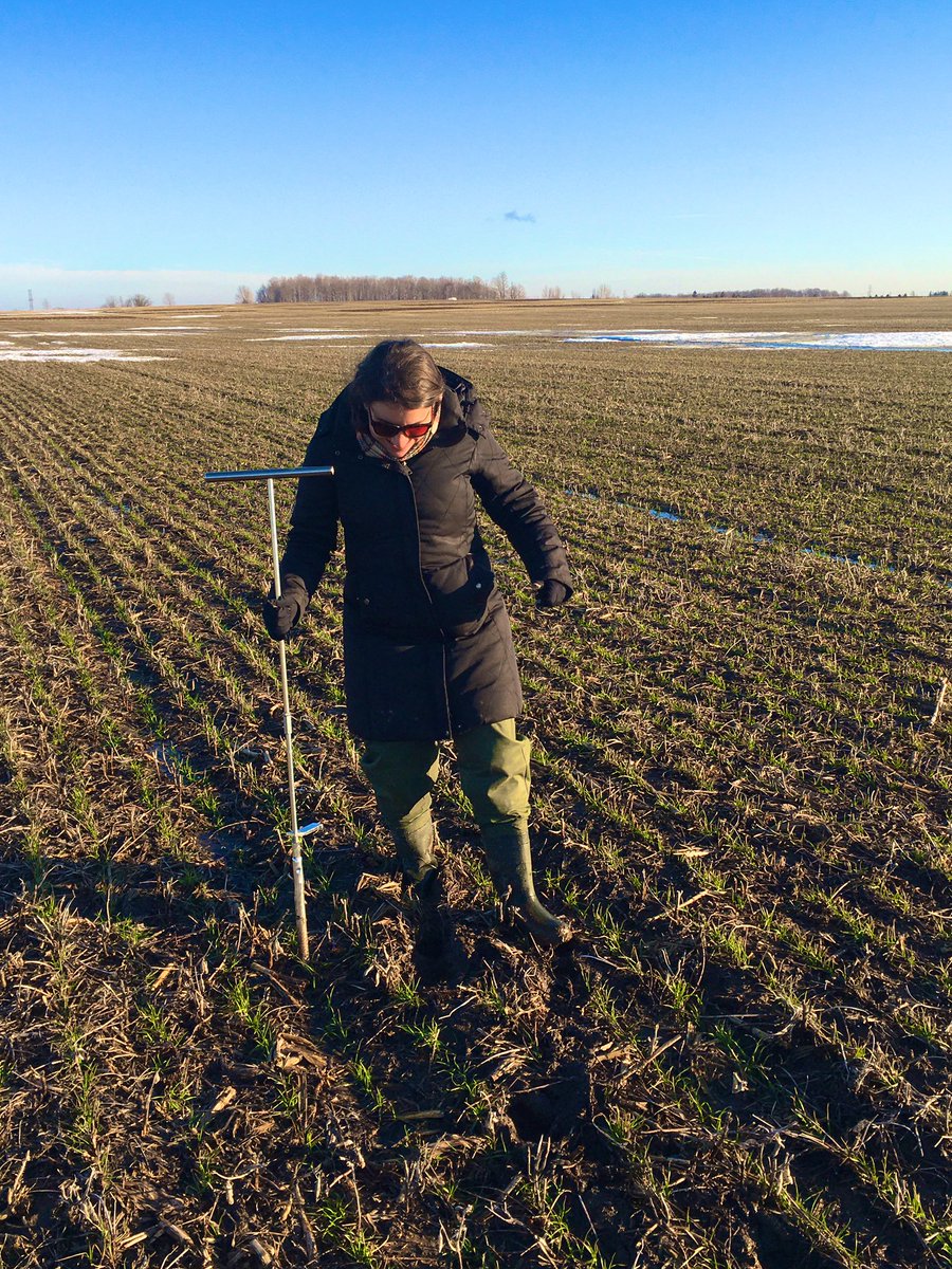 rebeccaejohnson's tweet photo. Did you know up to 90% of soil nitrous oxide emissions occur during the spring from freeze thaw mechanisms? This week we were busy in the field soil and gas sampling to catch the emission event! https://t.co/DITl6BjwbS