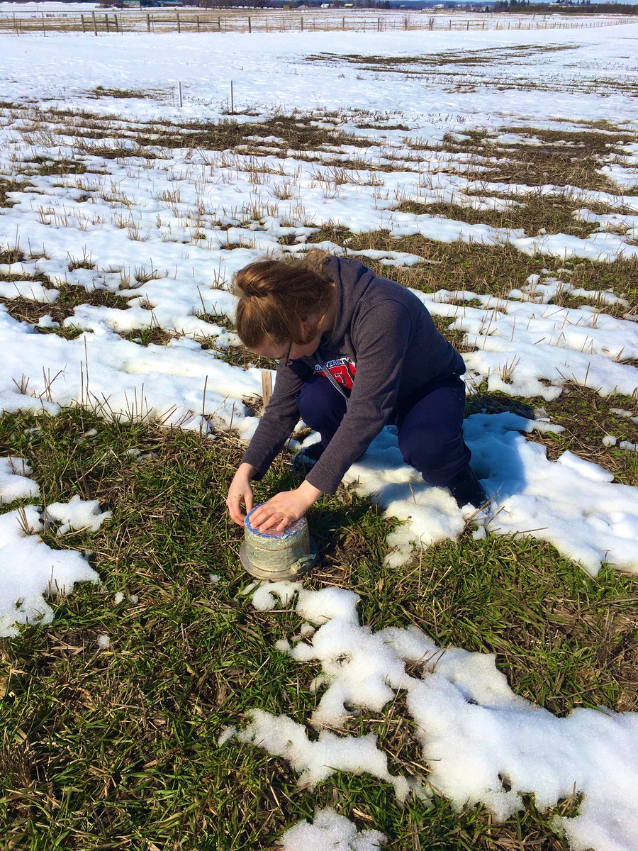 rebeccaejohnson's tweet photo. Did you know up to 90% of soil nitrous oxide emissions occur during the spring from freeze thaw mechanisms? This week we were busy in the field soil and gas sampling to catch the emission event! https://t.co/DITl6BjwbS