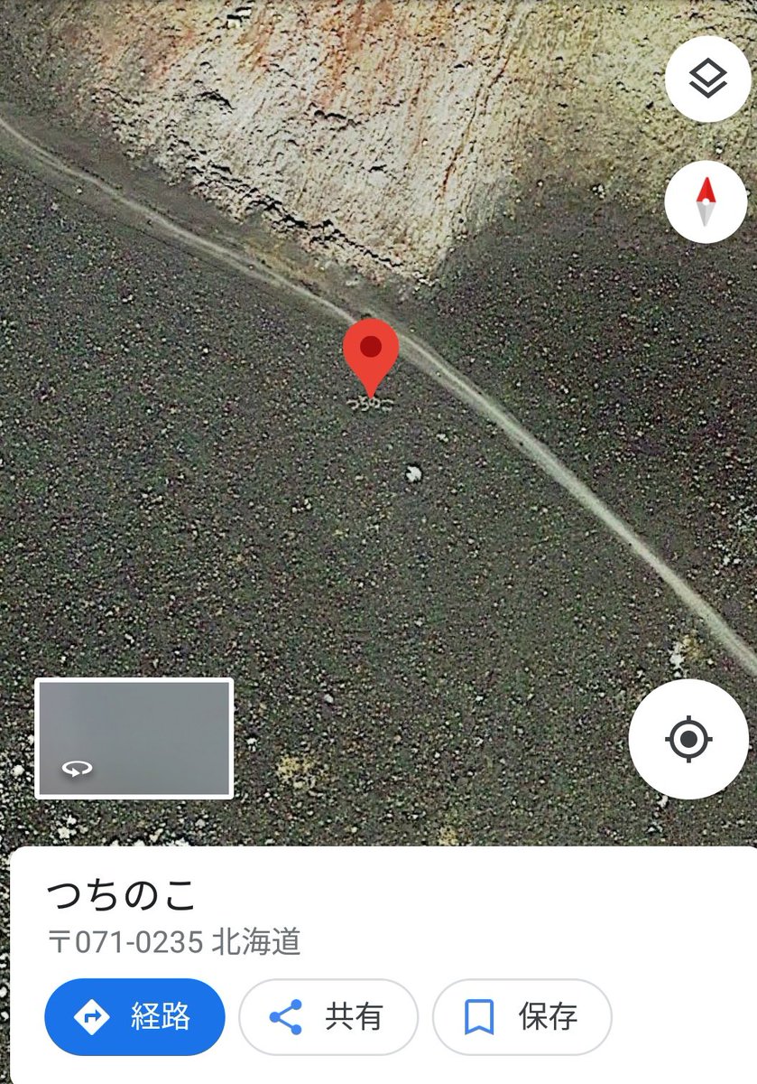 つちのこ 北海道 登山道脇の「つちのこ」は違法 環境省が石文字を解体：朝日新聞デジタル