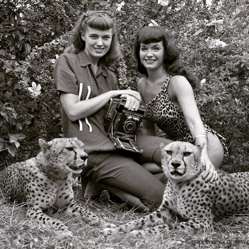 Bettie Page tweet media
