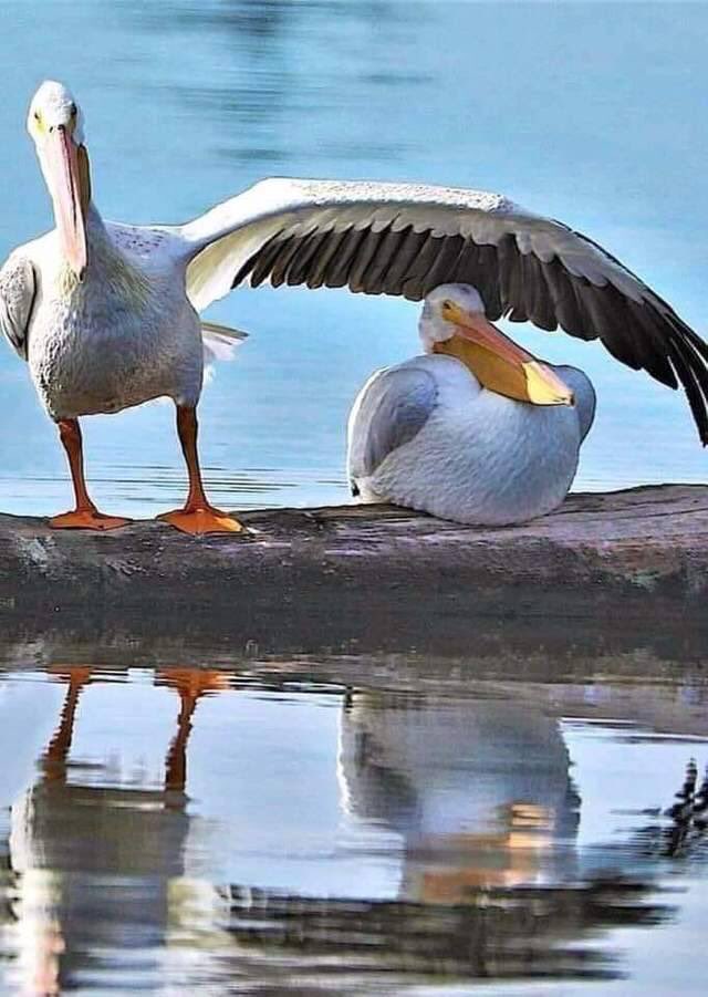 rautarchanared1's tweet photo. "The Best part of Life is when your family become your friends and your friends become your family"
#Good_Morning_Tweeples☺
#FridayFeeling https://t.co/tlMehuPCKr