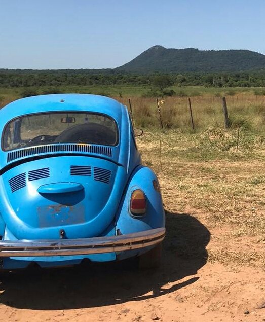 denario22's tweet photo. #DiesaPy, mañana voy de villa elisa zona petropar hasta @AsuncionMuni si alguien no encuentra bus,puedo acercar!! No tengo radio,tampoco corona virus,hay olor a nafta full,mata todo virus,pero mi #fusca74 llega siempre a destino,es celeste..Si a alguien le ayuda..Le llevamos!!! https://t.co/uATE40503t