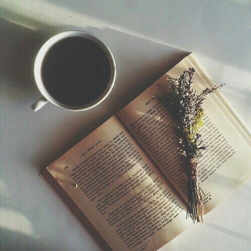 OFPRCPHECIES's tweet photo. ( 𝐒𝐓𝐀𝐑𝐓𝐄𝐑 𝐂𝐀𝐋𝐋. ) 

     — ♡ ꜰᴏʀ ᴀ ɢɪꜰ ꜱᴛᴀʀᴛᴇʀ.
     — ↻ ꜰᴏʀ ᴀ ᴡʀɪᴛᴛᴇɴ ꜱᴛᴀᴛᴇʀ.
     
     — ↻ &amp; ♡ ᴛᴏ ᴘʟᴏᴛ ɪɴ ᴅᴍꜱ ! https://t.co/AveKnzpFth