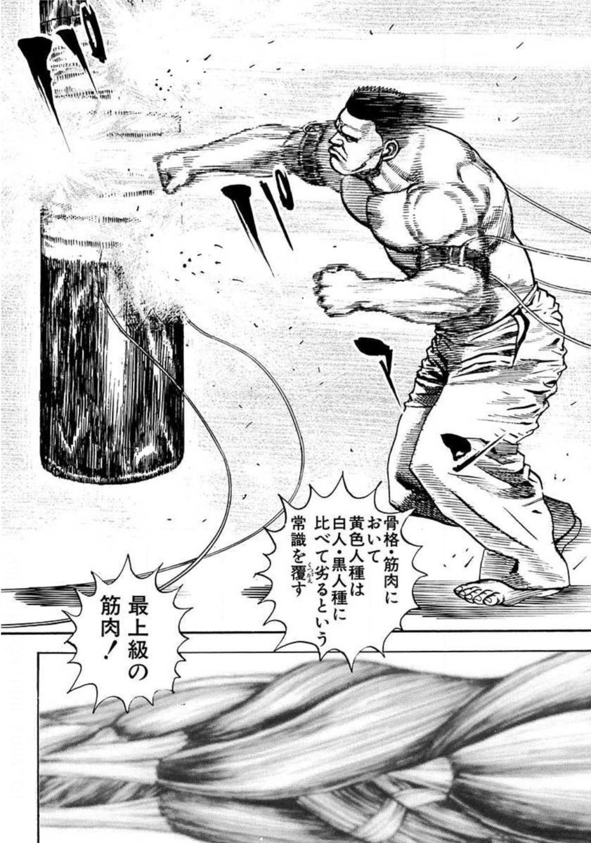 笑面虎イトちん A Twitter イwト 骨格 筋肉において黄色人種は白人 黒人種に比べて劣るという常識を覆すんだ 最上級の筋肉を手に入れるんだ 笑面虎イトちん A Twitter イwト 骨格 筋肉において黄色人種は白人 黒人種に比べて劣るという常識を覆すんだ 最上級の筋肉を手に入れるんだ