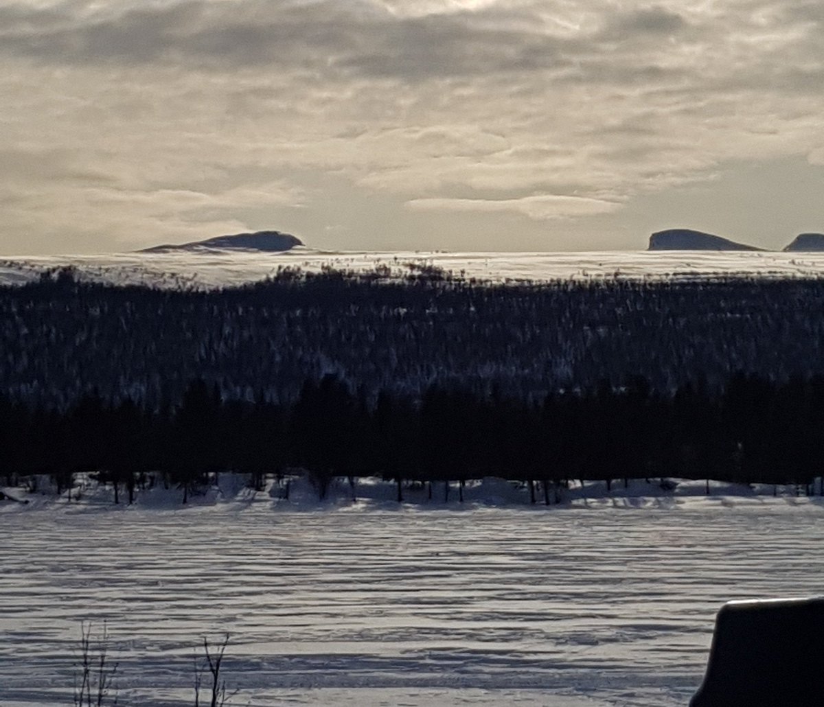 HannaVCarlsson's tweet photo. https://t.co/JwrxHicyFk