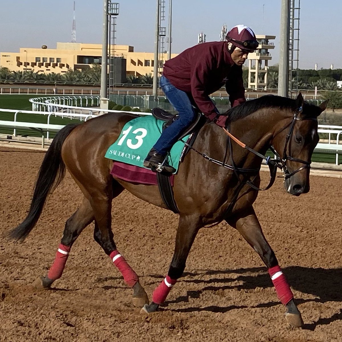 AdolphsonRacing's tweet photo. NORTH AMERICA, one of the favourites for the Group 2 $1.5 Million Godolphin Mile, will pass on the race and point to 2020-21 season, per trainer Satish Seemar.
We will have more in the next edition of #DWCnotes (read Friday’s here ➡️ https://t.co/yhH8jQY8Lh) https://t.co/Y0xiEGmItu