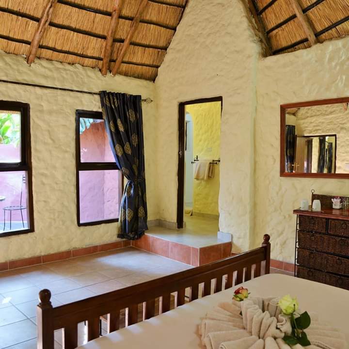 MbusoTravels's tweet photo. Take a break from the city and drive into wilderness 🌻🍁🦁
#safarilodges
#chengeta
#staywithus 
#mbusotravels https://t.co/bGLRtn9wrJ