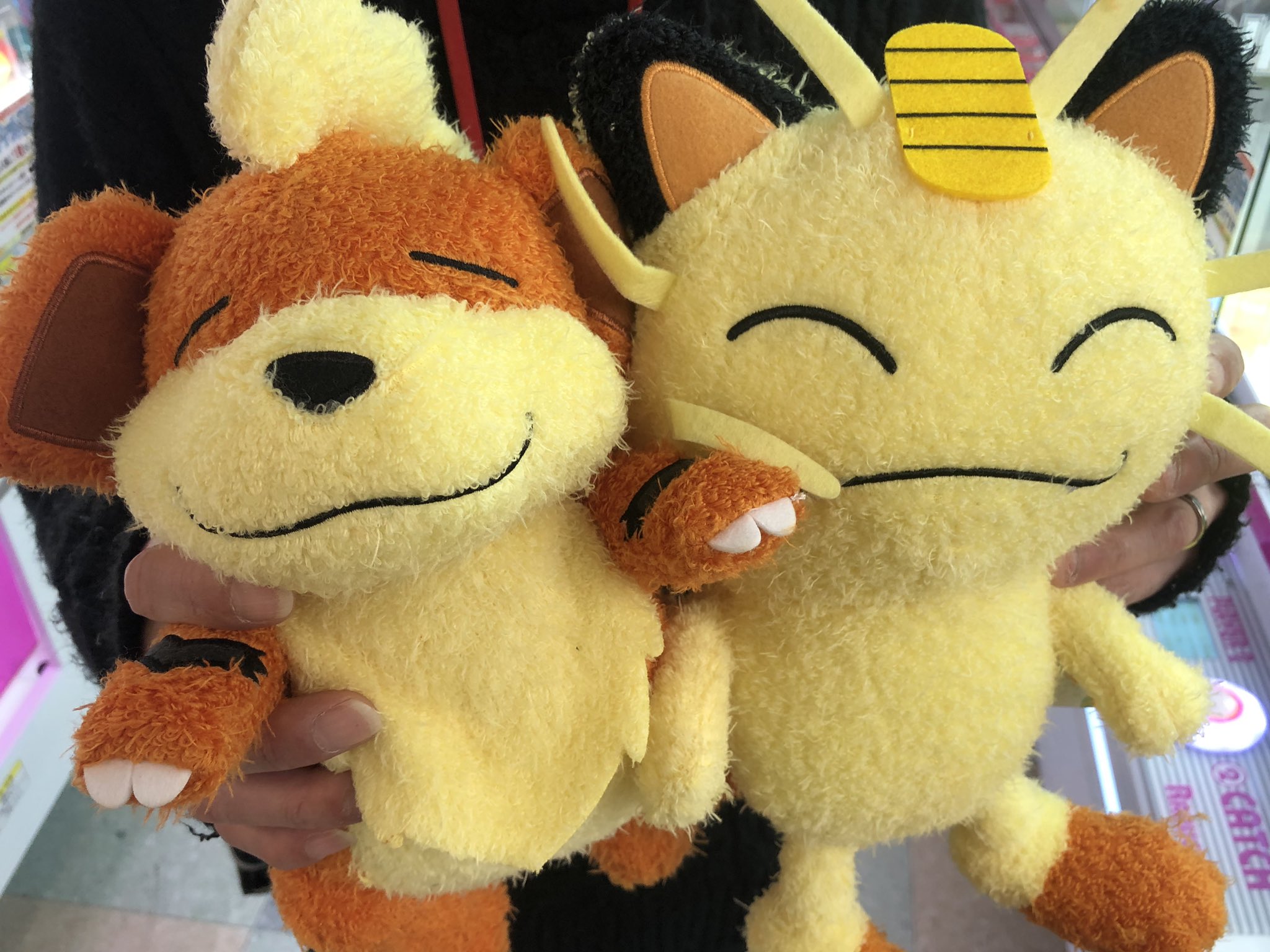 マンガ倉庫日向店アミューズ ポケットモンスター ポケぎゅっとでっかいぬいぐるみ ニャース ガーディ ポケだっこ でっかいぬいぐるみ ニャース ガーディ 各2種 全4種入荷しましたー ポケットモンスター ポケぎゅっと ポケだっこ ぬいぐるみ