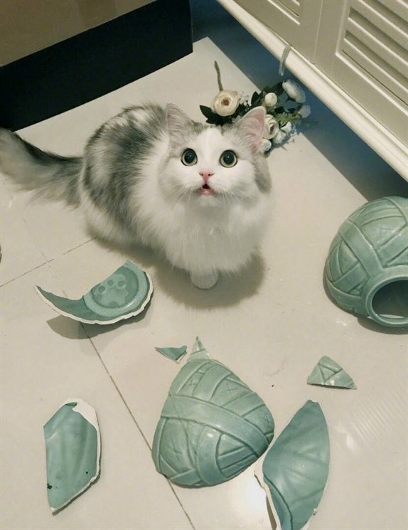 #강다니엘 #KANGDANIEL