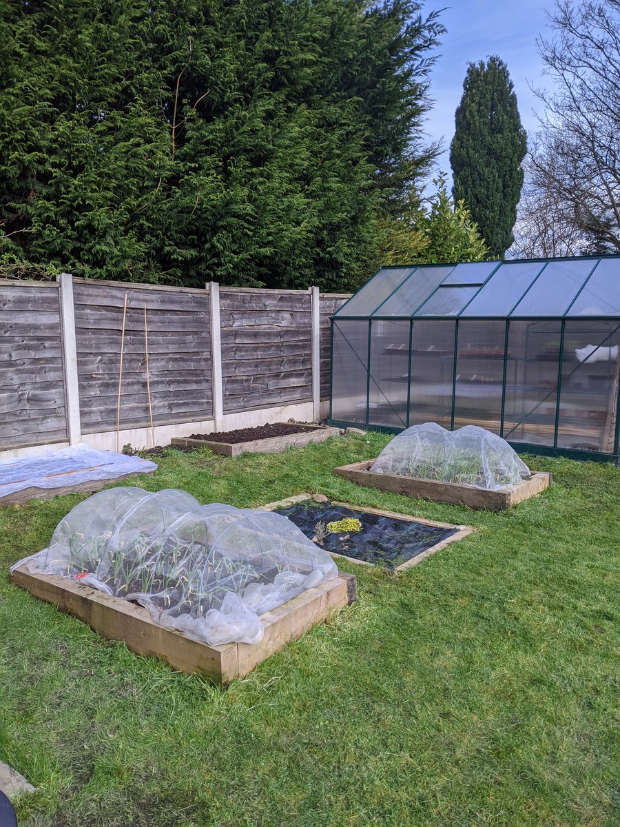 GrowingALotti's tweet photo. Never underestimate what a couple of hours in the garden can do for you! I have cleared the back two beds and they are ready for 2020 direct sowings! #excitedmuch #spring #gardener #SaturdayMorning #SaturdayMotivation https://t.co/ps549FbcJ3