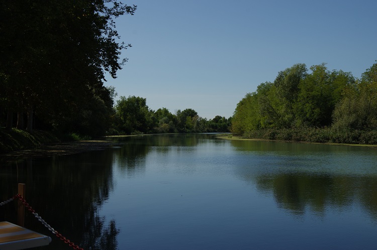 sonoitalia tweet media