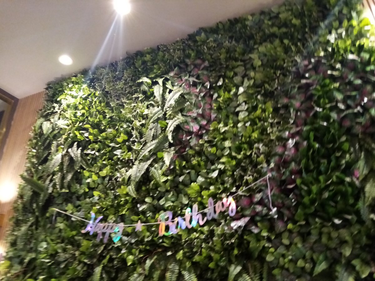 yunjiya1220's tweet photo. Thanks to @tweedymizu & @lovinbaeee for organising #LuminousWithSOPE!! 💜😘
Ps. I like the fairylights 😍 https://t.co/5Mu6aLPvvl