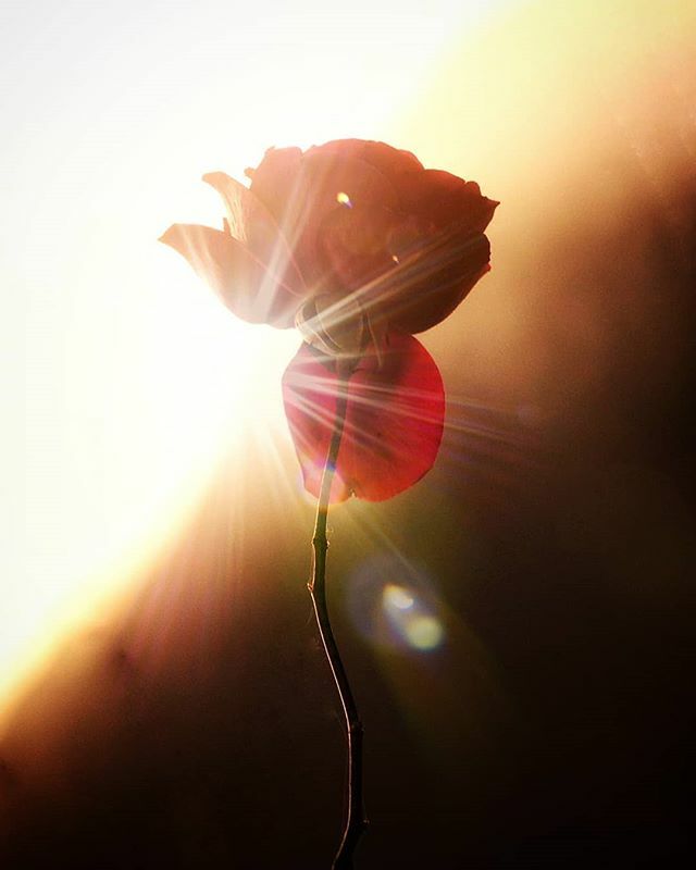 Buenos días #amIgers hoy amanecemos con este instante de nuestra amiga @josie_vp⠀
⠀
" ♥️ CIVISMO:Comportamiento de la persona que cumple con sus deberes de ciudadano, respeta las leyes y contribuye así al funcionamiento correcto de la sociedad y al b… ift.tt/3aRhbN9