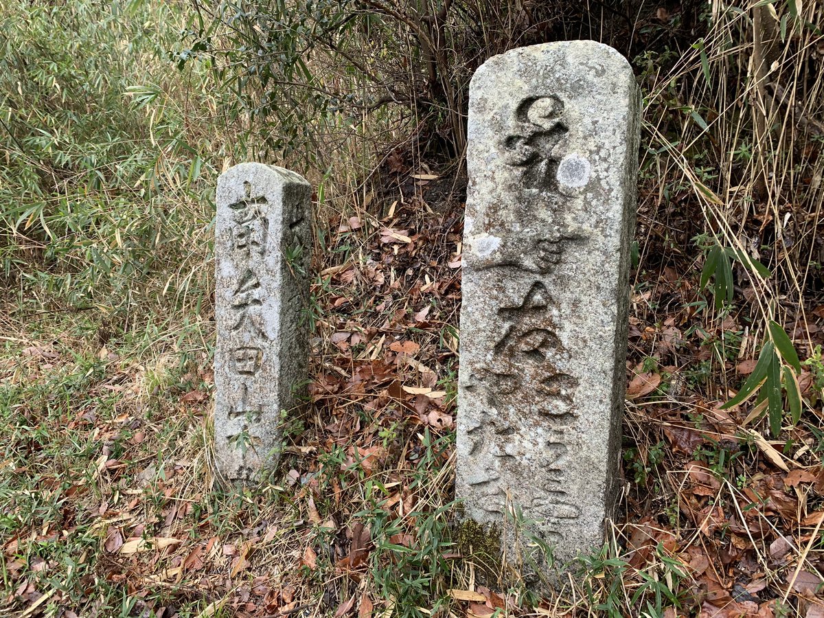 Yoyo Orz On Twitter R308 砂茶屋交差点で終了 一方通行なので白線が