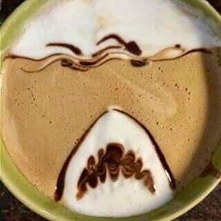 Malin_WildAware's tweet photo. The only way to have a morning coffee ❤🦈
#sharks #coffee #wildaware https://t.co/FwzqMBb4Vu