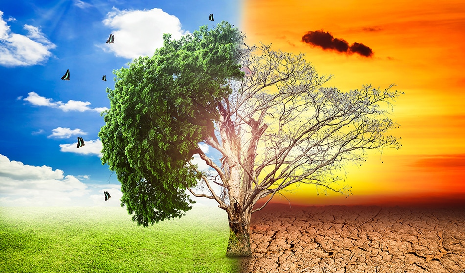 الاحتباس الحراري: التعريف والأسباب والآثار والحلول