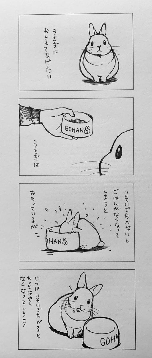 うさぎ4コマ 