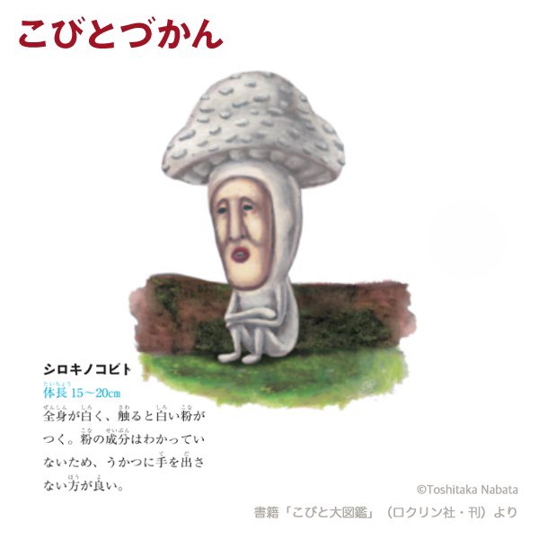 こびとづかん公式 15周年 １日１コビト紹介 シロキノコビト ホワイトデー ですので 白いコビトをご紹介します 詳しくは T Co 94bhypw6 Note こびとづかん