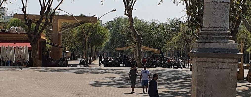 SevillaAlameda's tweet photo. Moriremos de imbecilidad https://t.co/MrxsjTljcZ