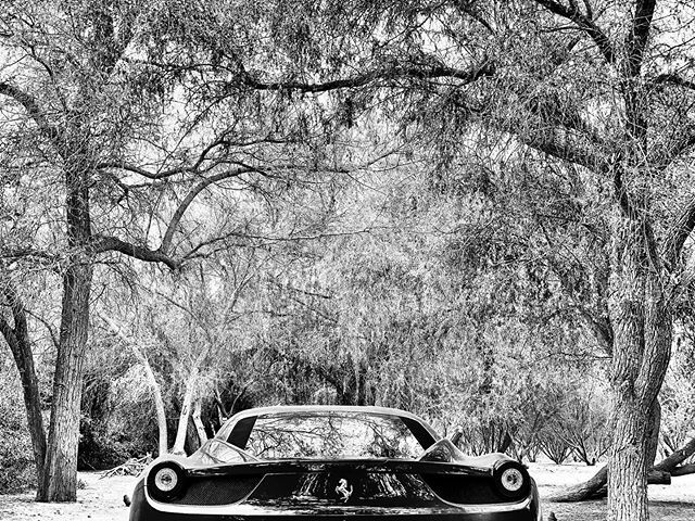 Beast in the wild. 
#ferrari #458italia #abudhabi #abudhabicars #myabudhabi #supercars #bnw #bnwphotography #bnwphoto #blackandwhite #blackandwhitephotography ift.tt/2Wh8Pu3