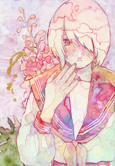 Delphinium 
