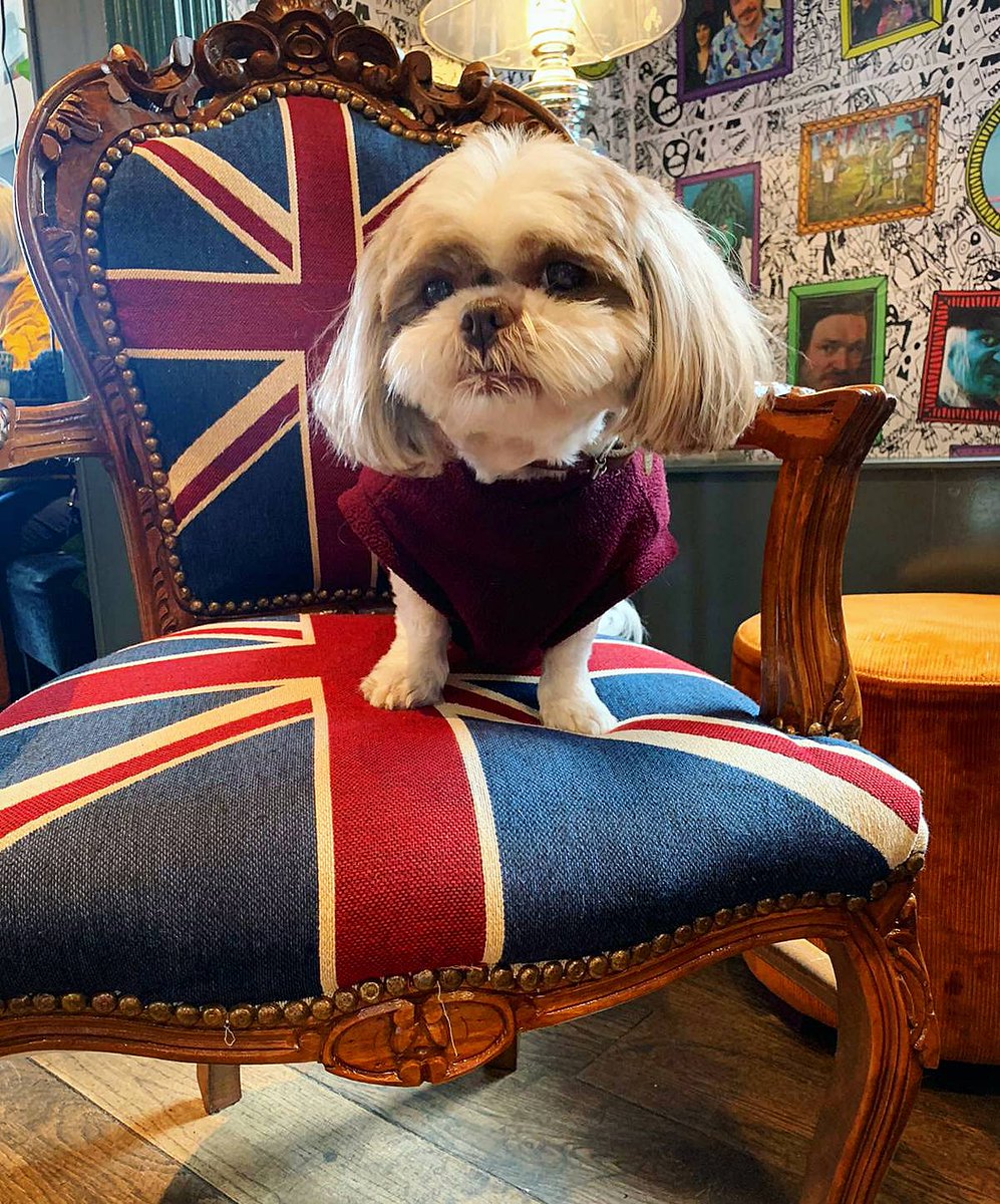 //DOG FRIENDLY// Some of our lovely customers from today! We welcome all pooches big or small 🐶 <a href="/Dogfriendlybse/">DogFriendlyBSE</a>