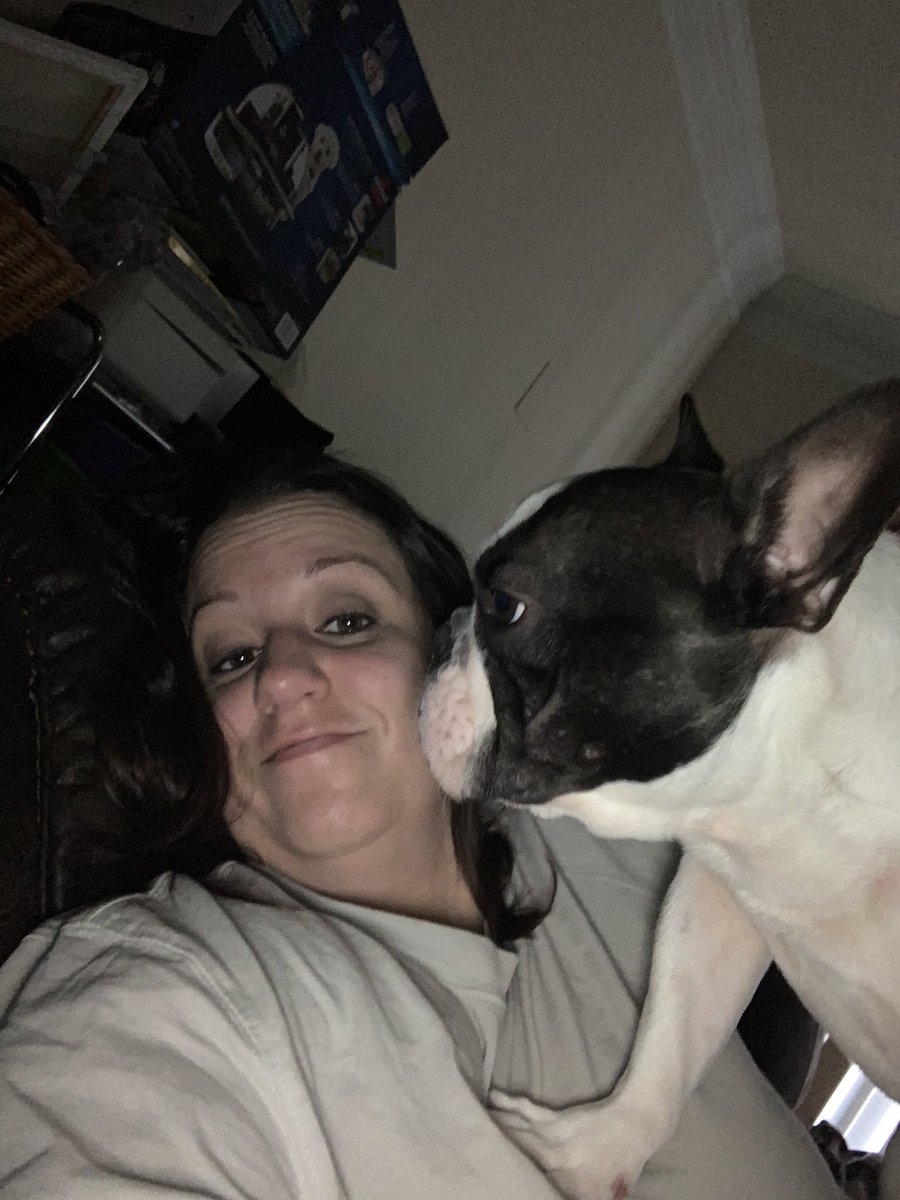JumetPrincess's tweet image. No boundaries wrangle #frenchie #frenchieproblems #frenchiesoftwitter