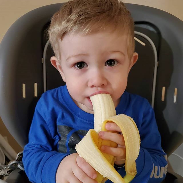 DJTracker0's tweet photo. C'est bon les bananes #banane #banana #yummy #kid https://t.co/GFet2Qa35a https://t.co/aoi9mWZGmn