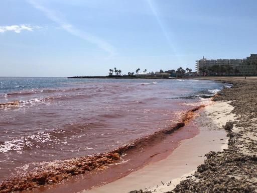 Terraferida's tweet photo. Avui a Sa Coma, Sant Llorenç, un abocament important que caldria investigar. Obres a un hotel de la zona hi podrien tenir relació @AgentsMediAmbIB @cmat_ib https://t.co/CU3mudC1IQ