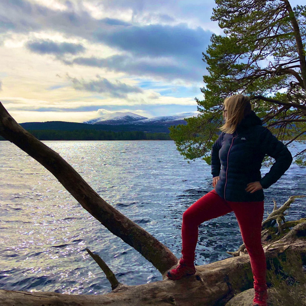 ktmcnl's tweet photo. Wandering around Loch Mallachie and Garten for a blowy #WeeWalks #WeeWalks2020. Good to get outdoors. https://t.co/ZmTMb6MV4c