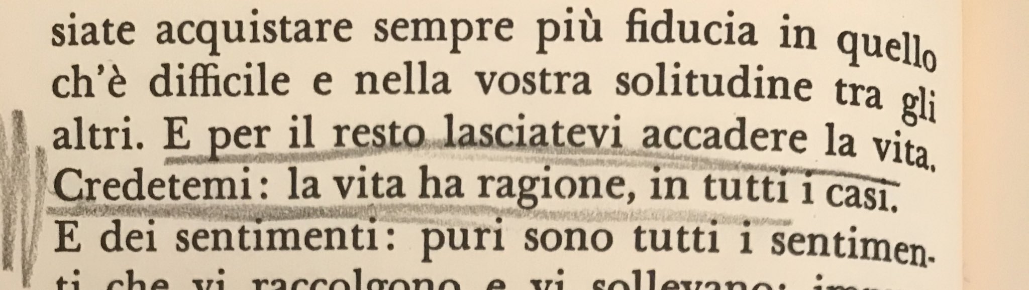 anna on X: #rilke (fanno bene le lettere a un giovane poeta in questi  giorni.)  / X