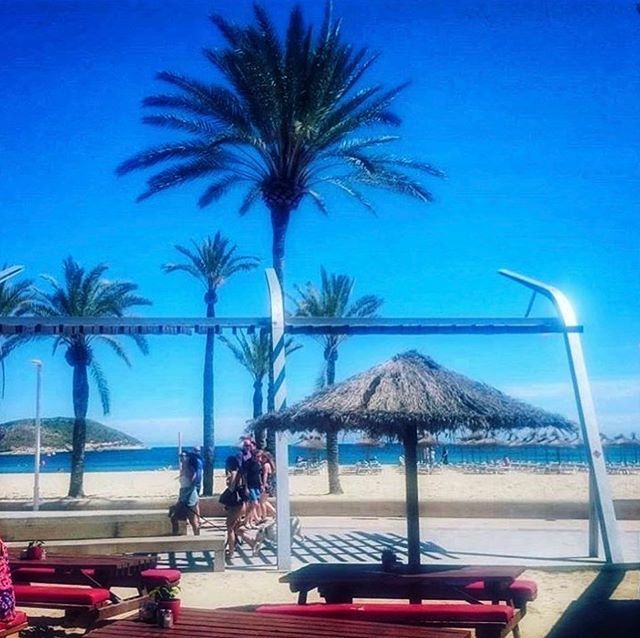 We never tire of our view 😍 •
•
•
•
•
#mallorca #igersmallorca #estaes_baleares #igersbalears #loves_balears #mallorcaisland #baleares #palmademallorca #palma #mallorcagram #unlimitedmallorca #balearespasoapaso #total_baleares #illesbalears #love… ift.tt/2IYLjKJ
