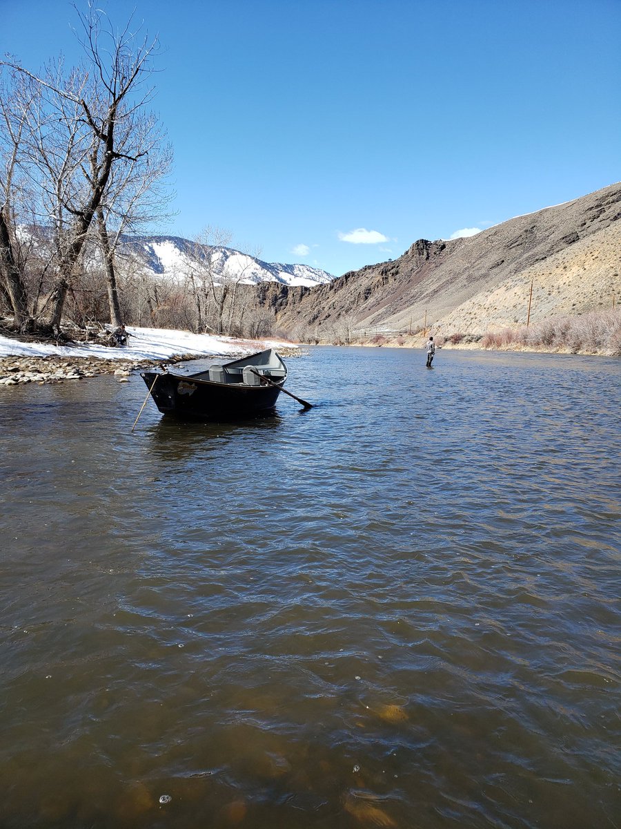 laughmichael's tweet photo. I guess I'm "stuck" in Idaho. Hope I don't go crazy being "quarantined" here. https://t.co/hp5iyKhLYb