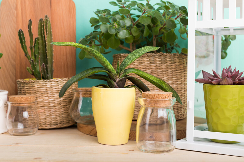 FLmoving's tweet photo. Transform your New Home with These Upgrades That Never go Out of Style! 🌿🌵
https://t.co/M0yGPVsskj https://t.co/dlhdc3qC6M