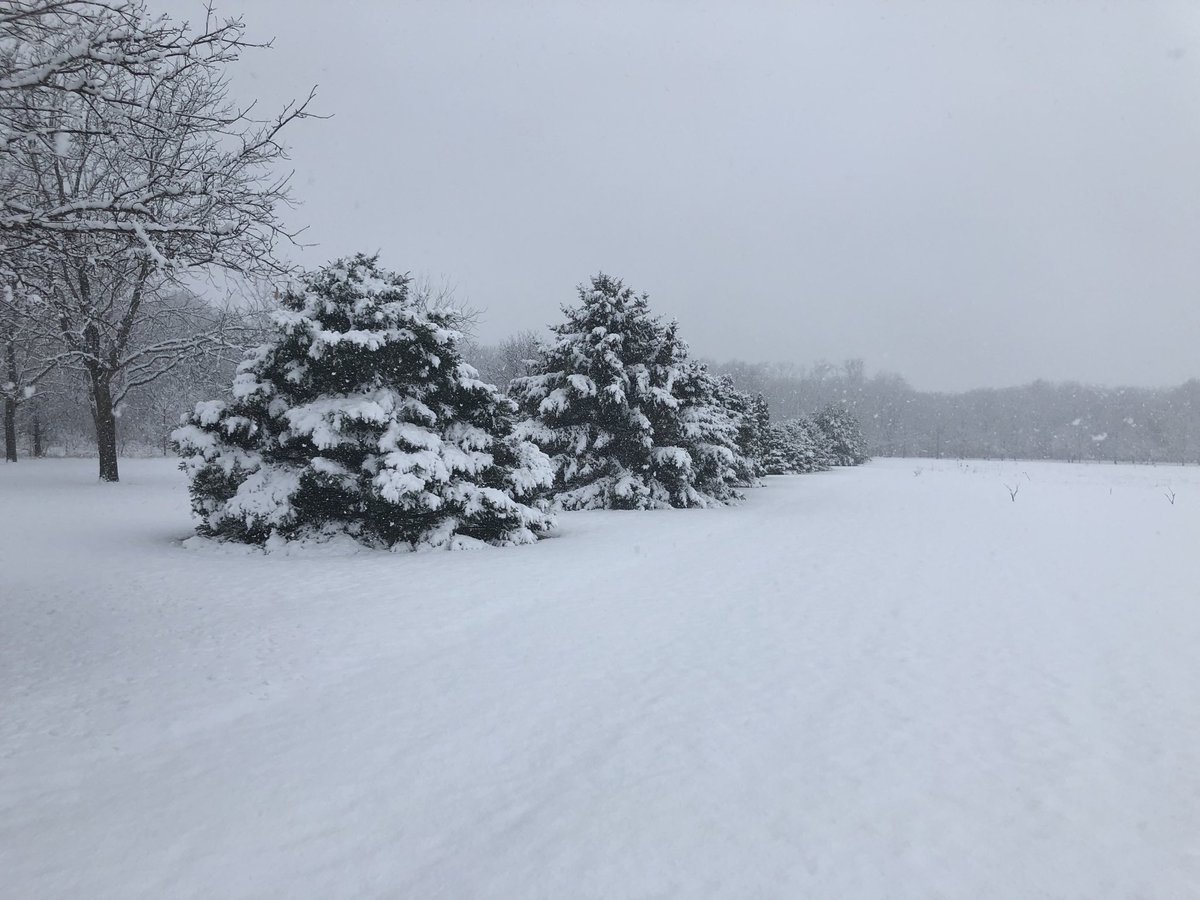 cko62's tweet photo. Looks like our “wintery mix” turned out to be all winter and no mix. https://t.co/mGSzMT1LqL