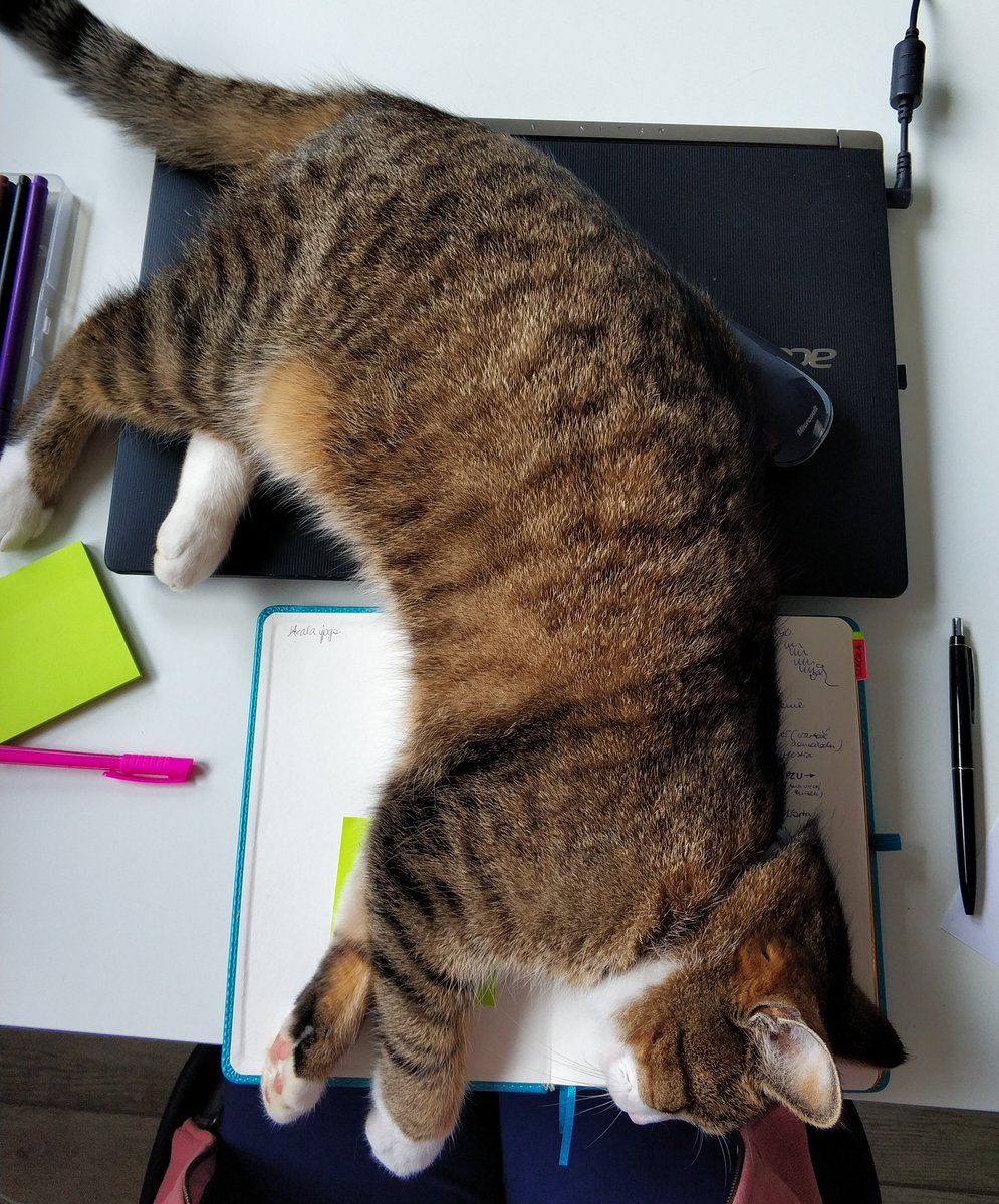 perimilo's tweet image. Work from home ... #QuarantineAndChill