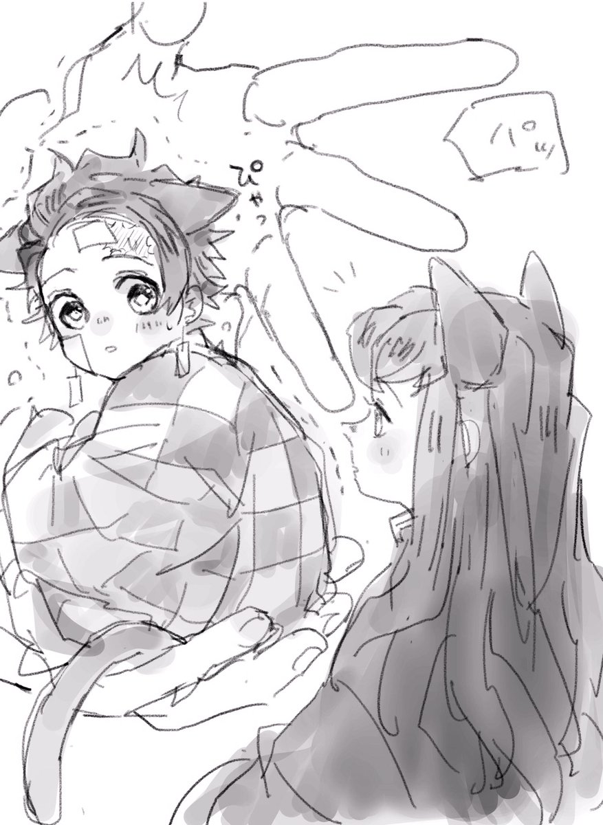 新しい家族☺️
時炭にゃん出会う 